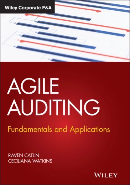 Agile Auditing | Wiley | Электронная книга