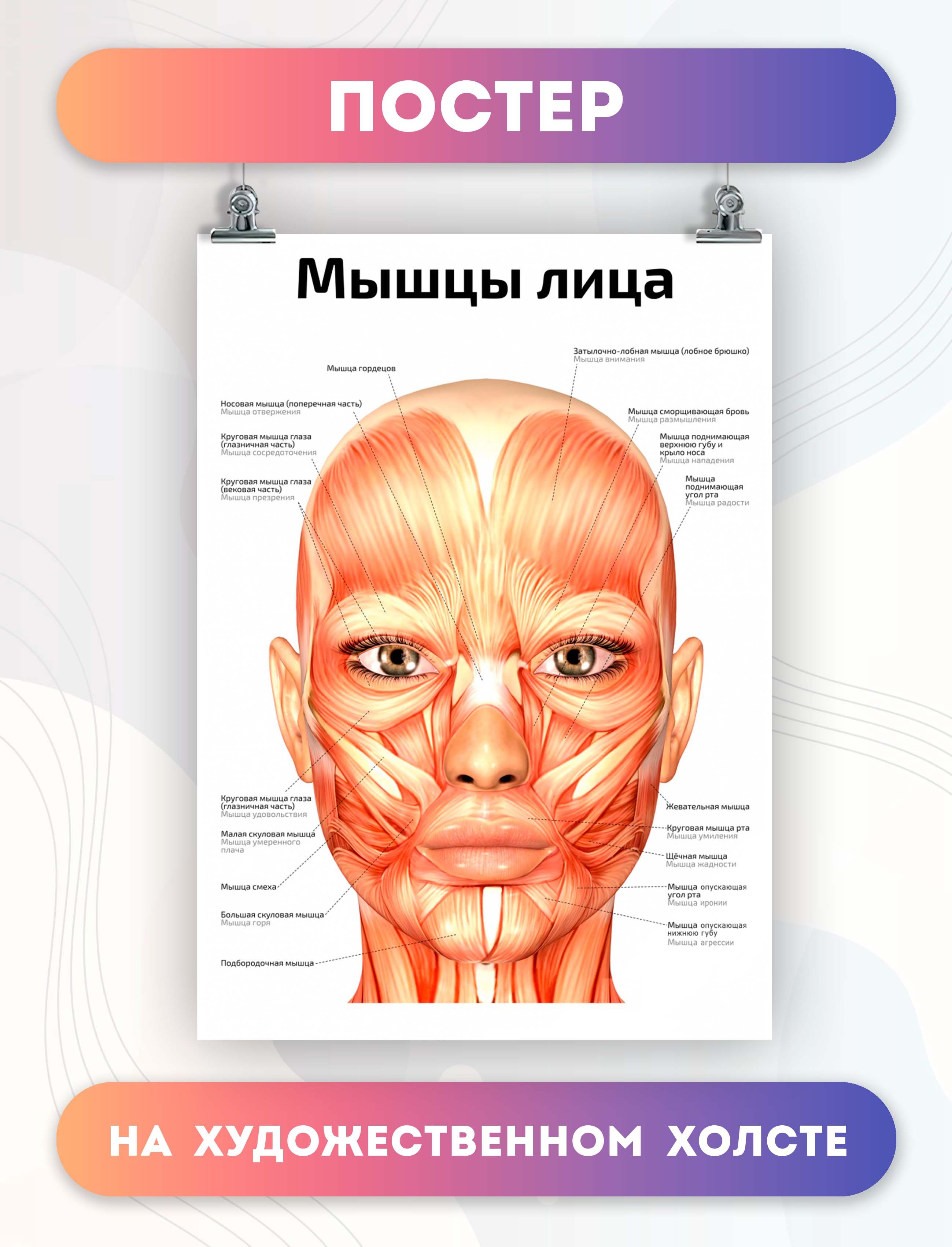 Постер PosterNak Арт купить по выгодной цене в интернет-магазине OZON  (944623048)