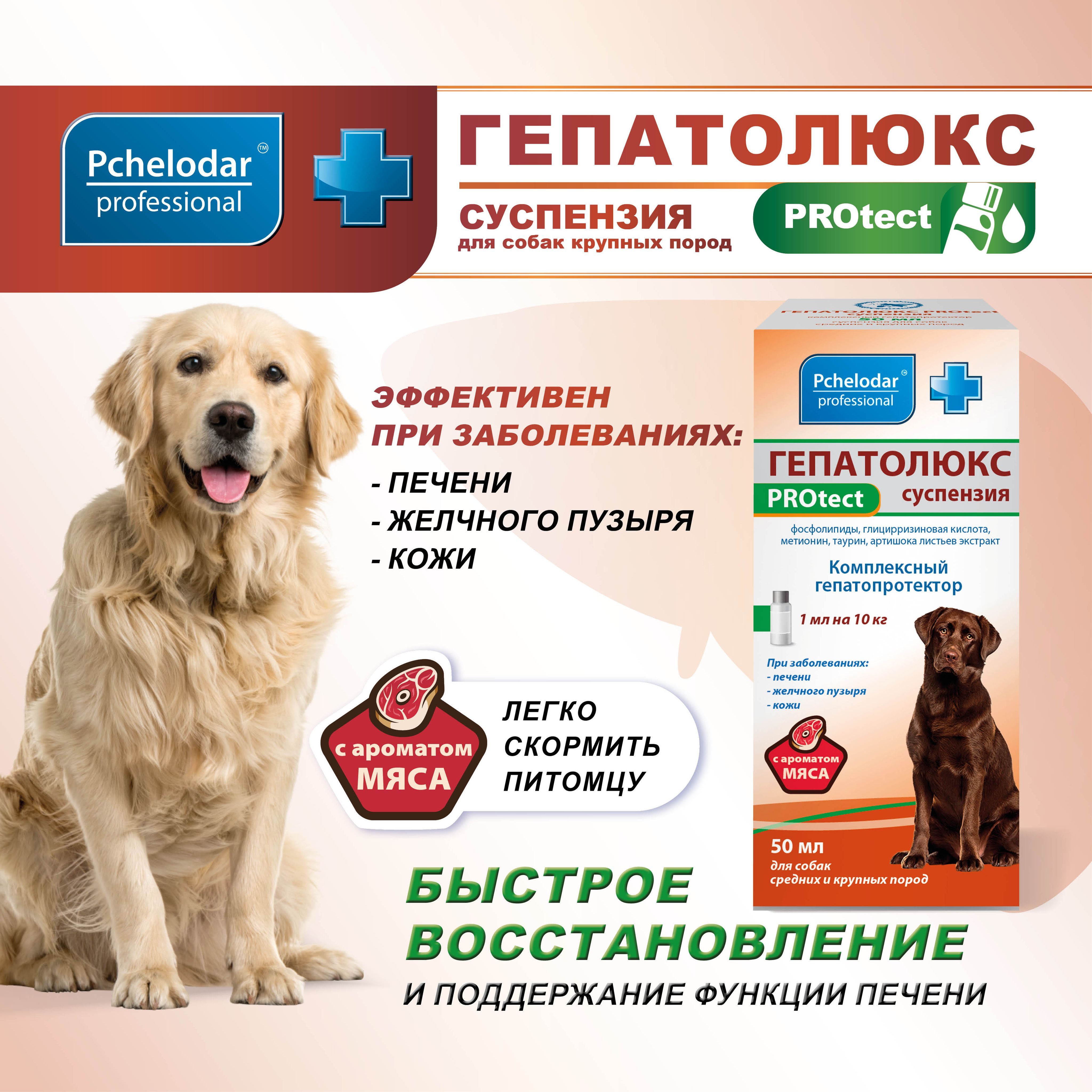 Гепатолюкс для собак купить. Гепатолюкс для собак. Гепатолюкс таблетки для собак. Гепатолюкс суспензия для кошек 25 мл. Гепатолюкс дерма для собак.