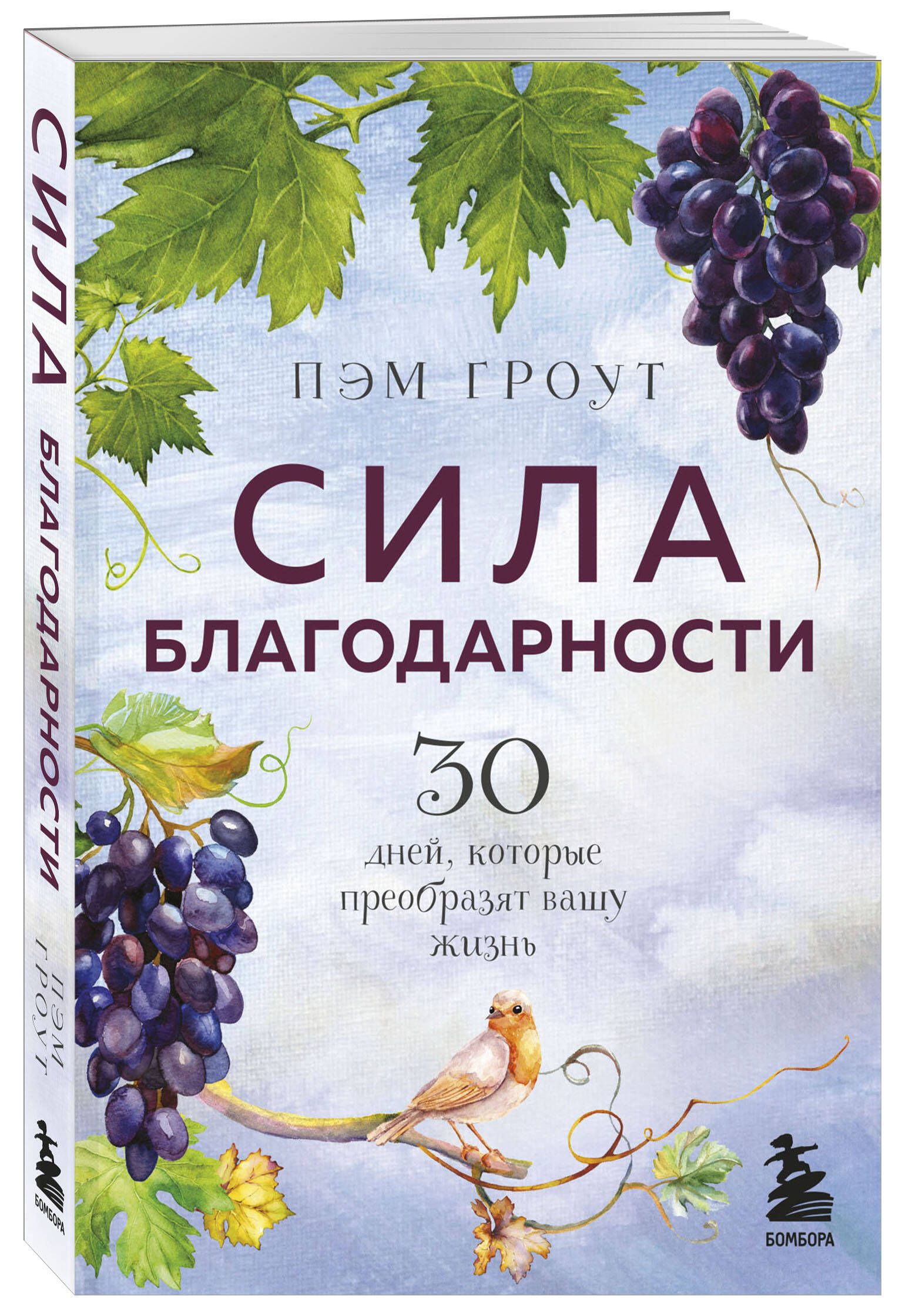 Сила благодарности. 30 дней, которые преобразят вашу жизнь | Гроут Пэм