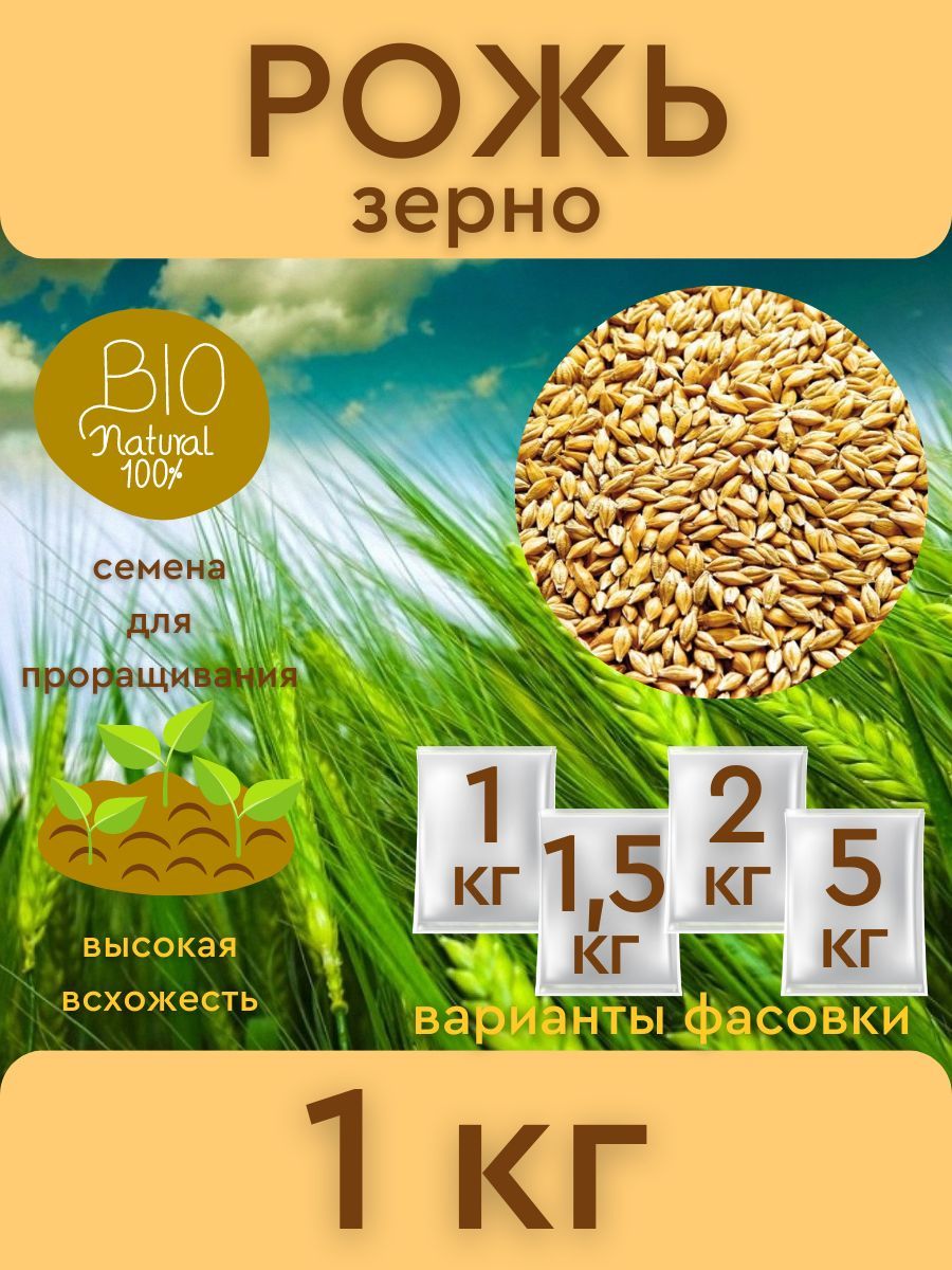 Первый садовод Рожь - купить по выгодным ценам в интернет-магазине OZON  (838959345)