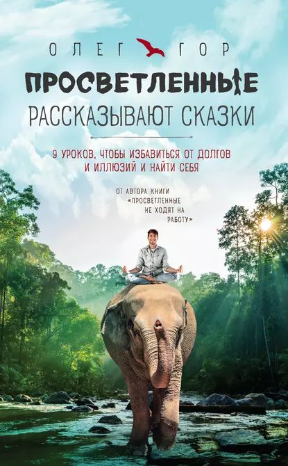 Просветленные рассказывают сказки. 9 уроков, чтобы избавиться от долгов и иллюзий и найти себя | Гор Олег Н. | Электронная книга