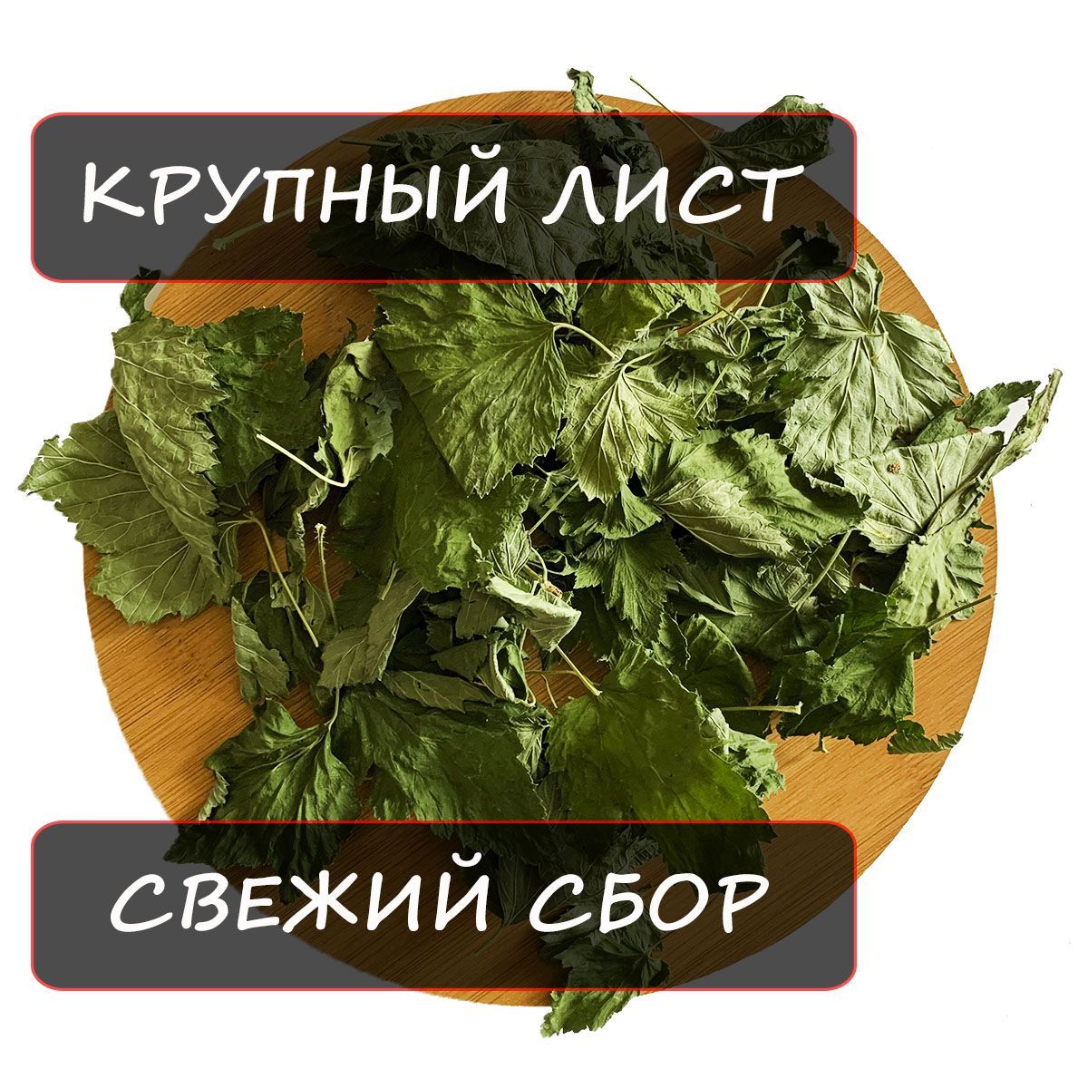 Купить Лист Смородины Сушеный В Аптеке