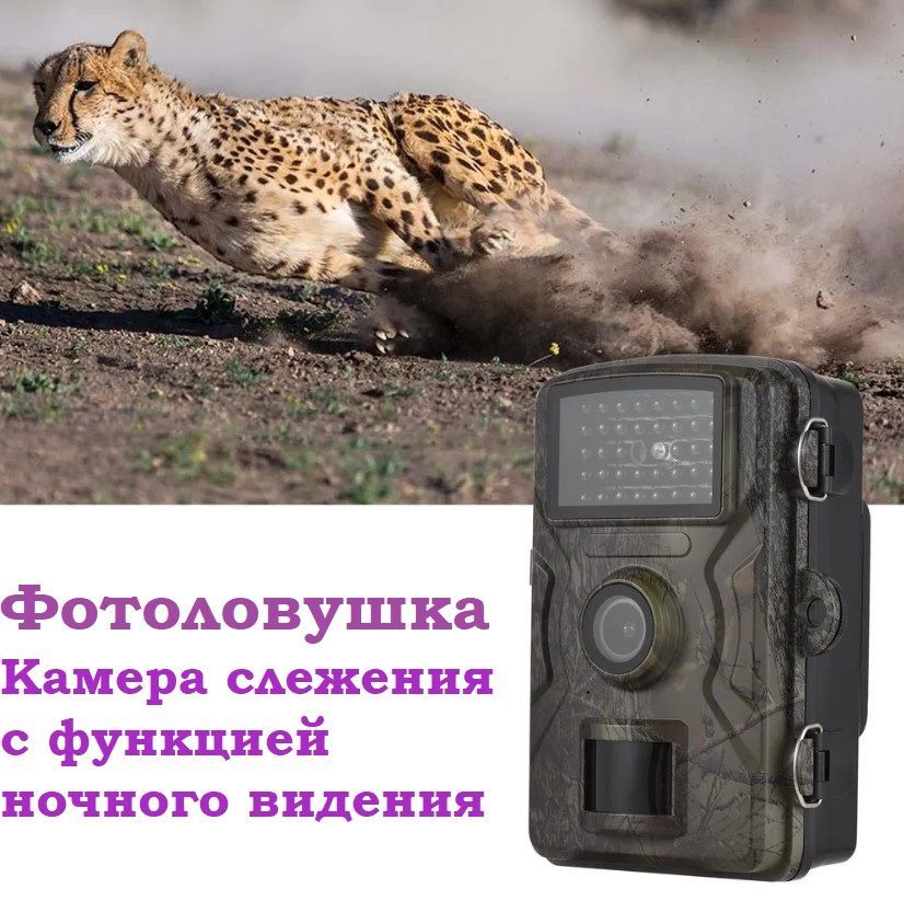 Фотоловушкадлянаблюдения,охотыиохраныучастков/Леснаякамерасфункциейночноговидения