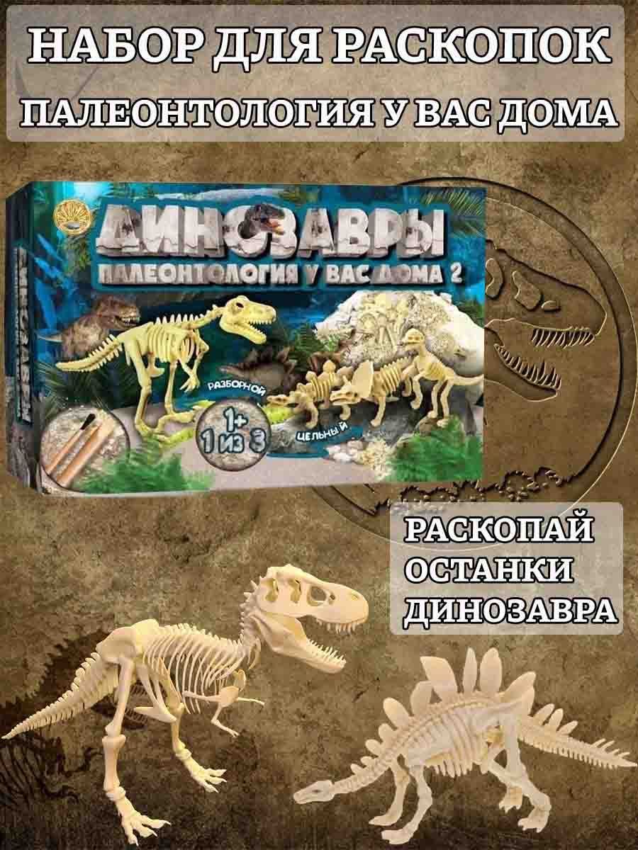 Раскопки для детей- Динозавры палеонтология у вас дома - купить с доставкой  по выгодным ценам в интернет-магазине OZON (1062600945)