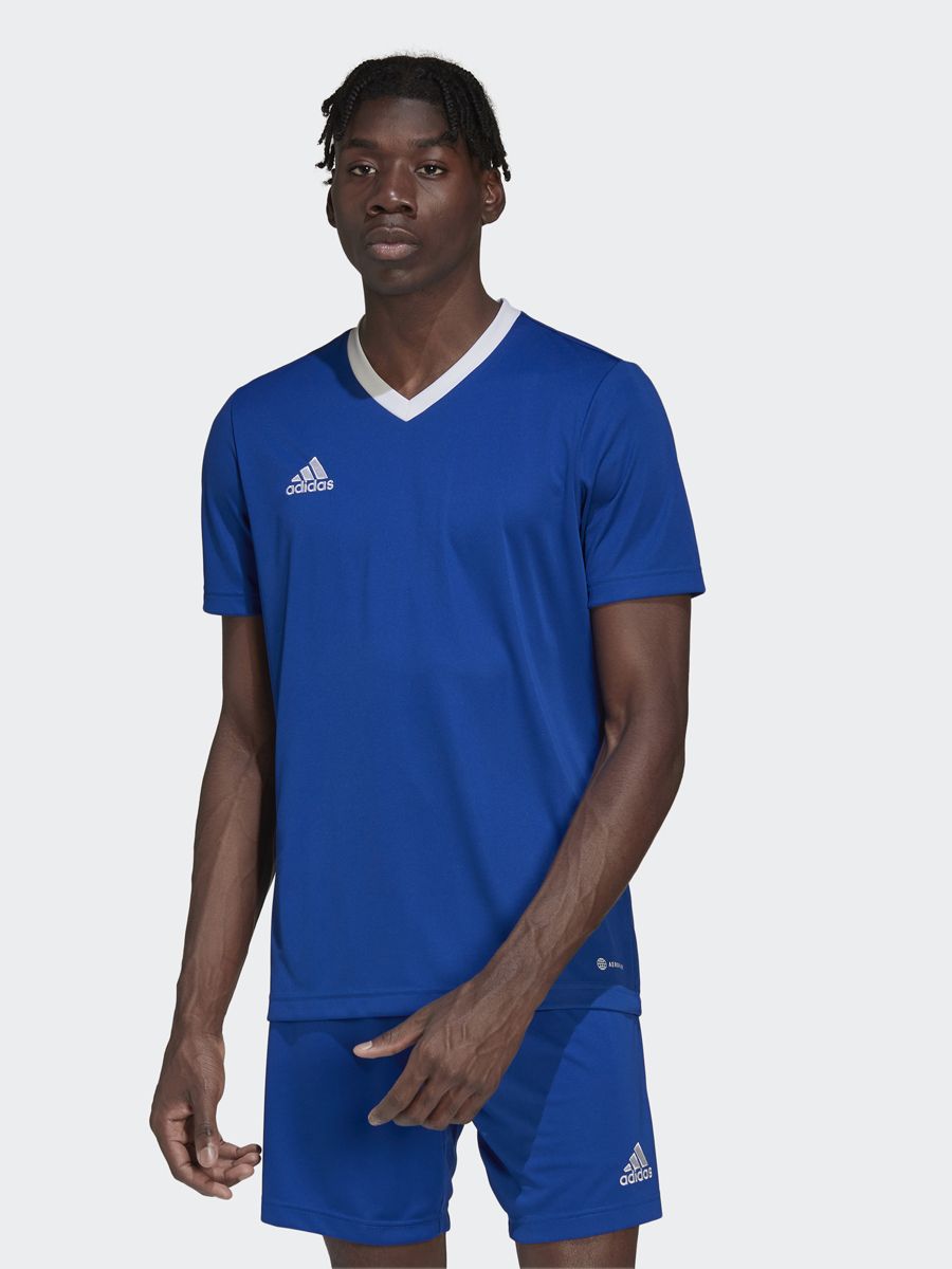 Adidas 2019 t shirt hotsell