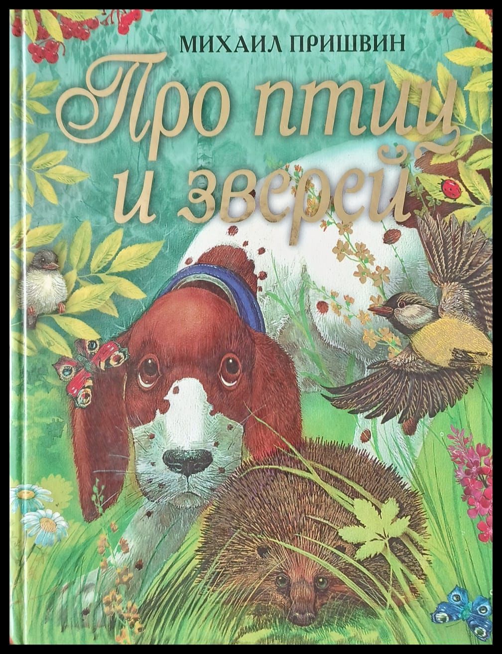 Книги о животных картинки