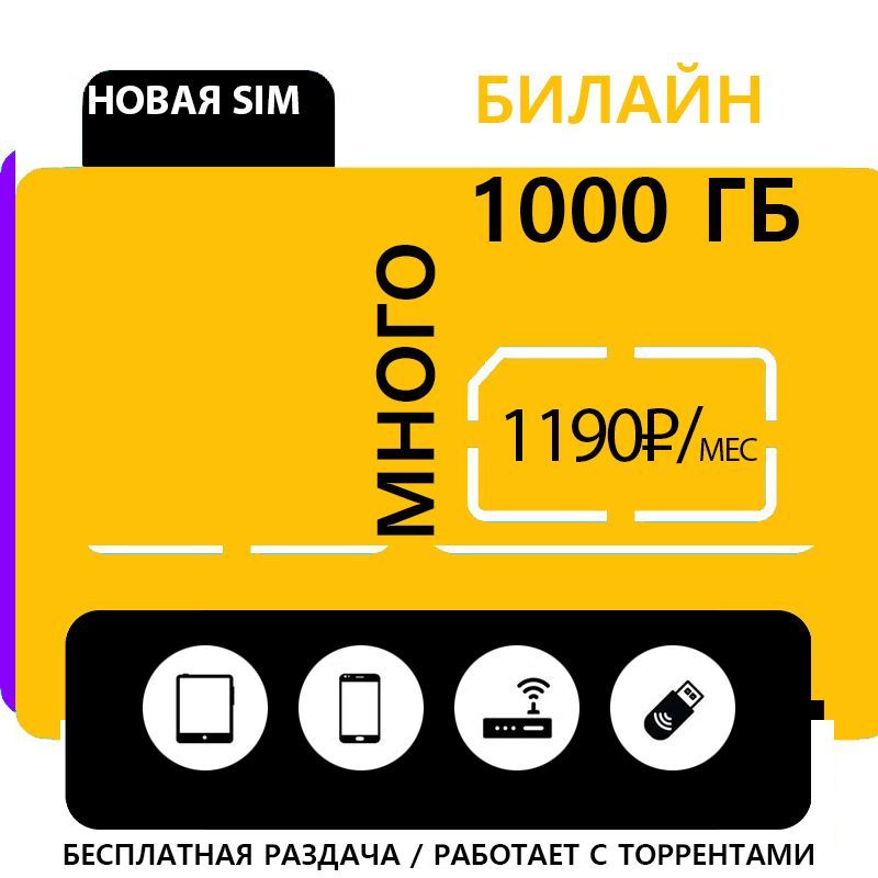 Купить 2 Гб Билайн
