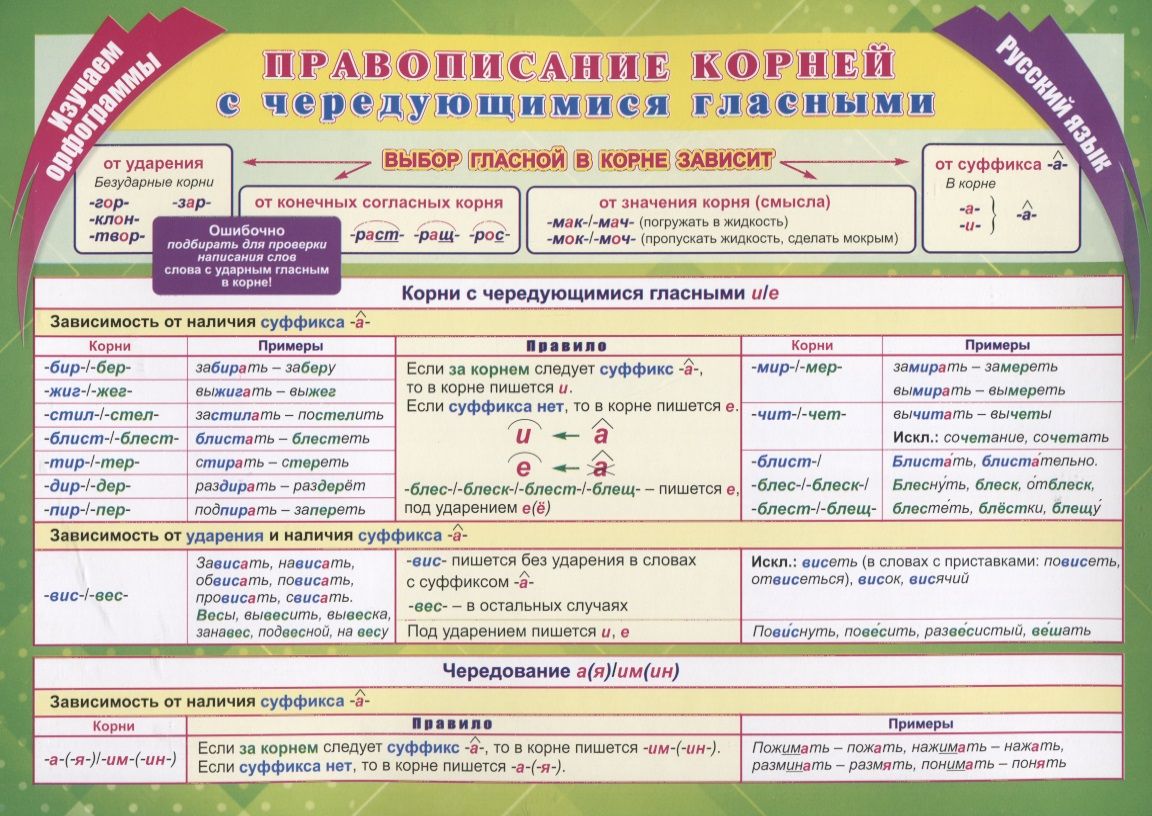Урок 6: Правописание корней - 100urokov.ru