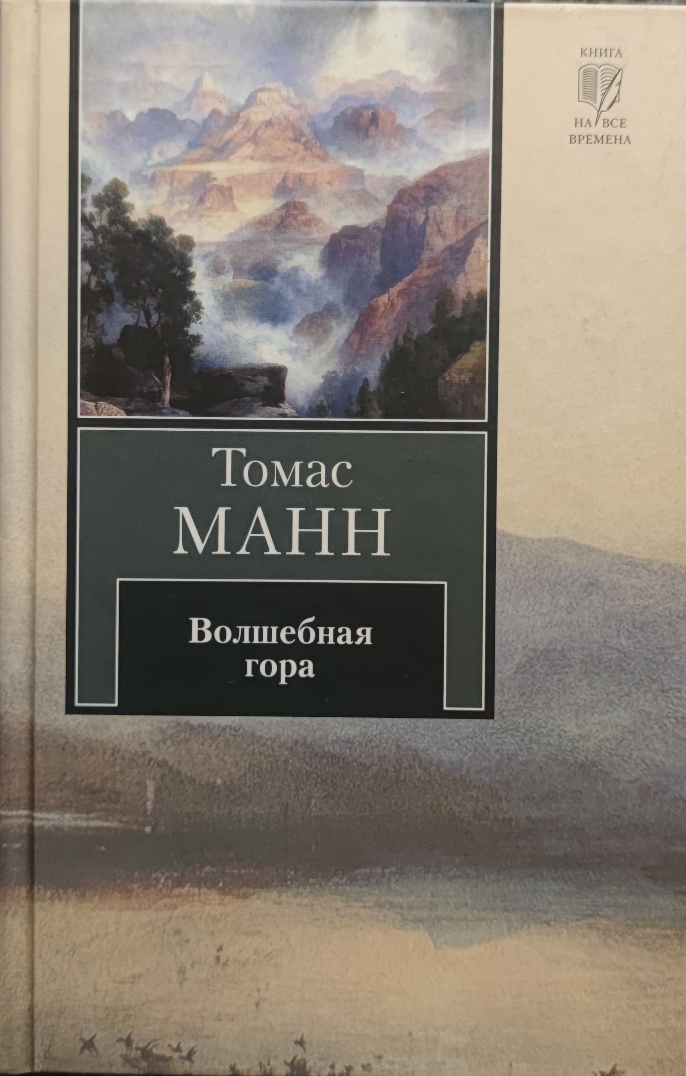 Волшебная гор. Книга Волшебная гора т Манн.