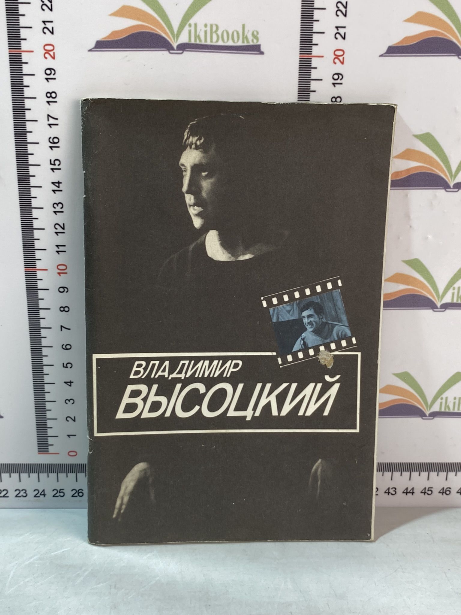 И. И. Рубанова / Владимир Высоцкий | Рубанова Ирина Ивановна - купить с  доставкой по выгодным ценам в интернет-магазине OZON (1158070218)