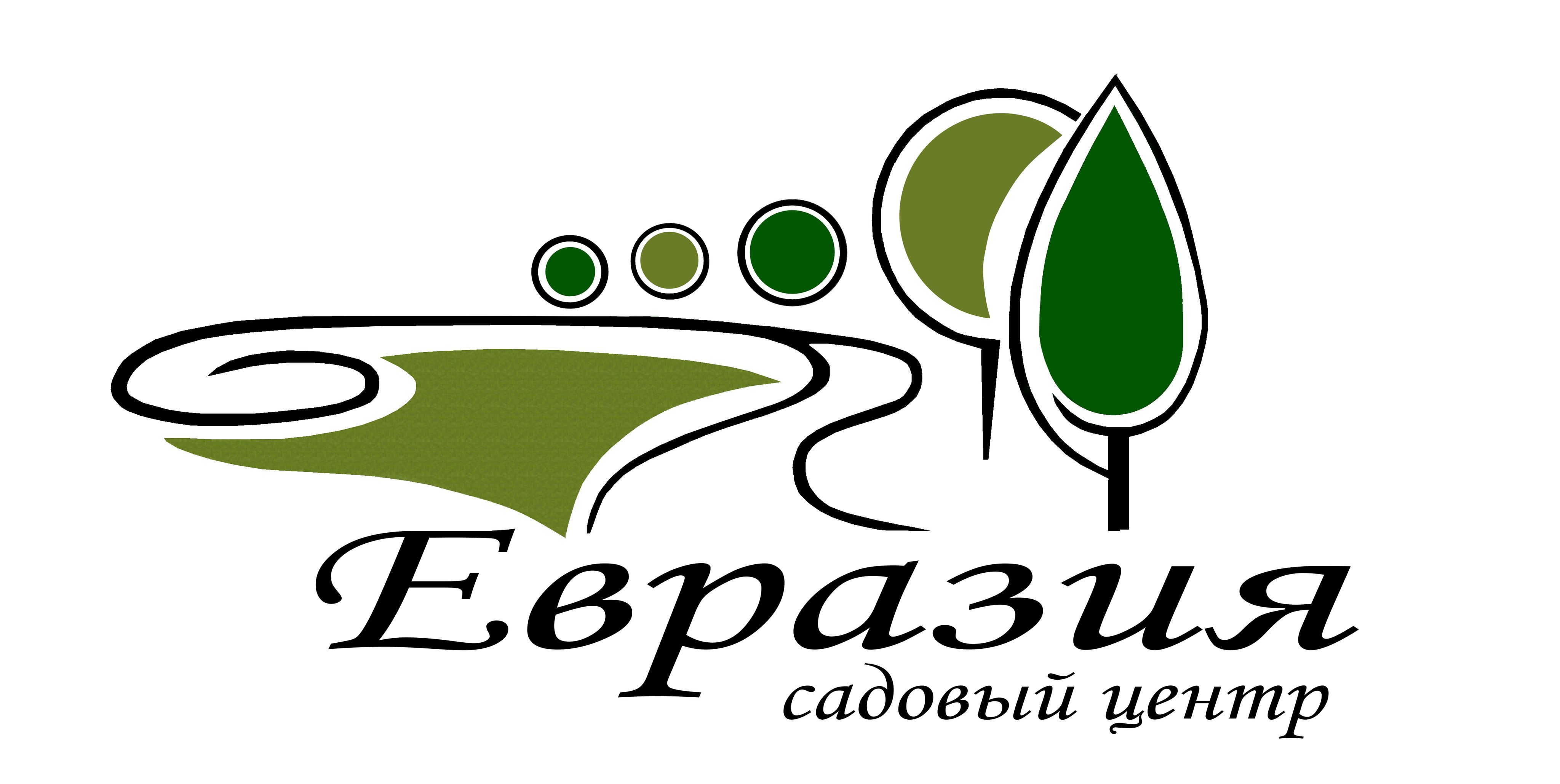 Евразия камышин