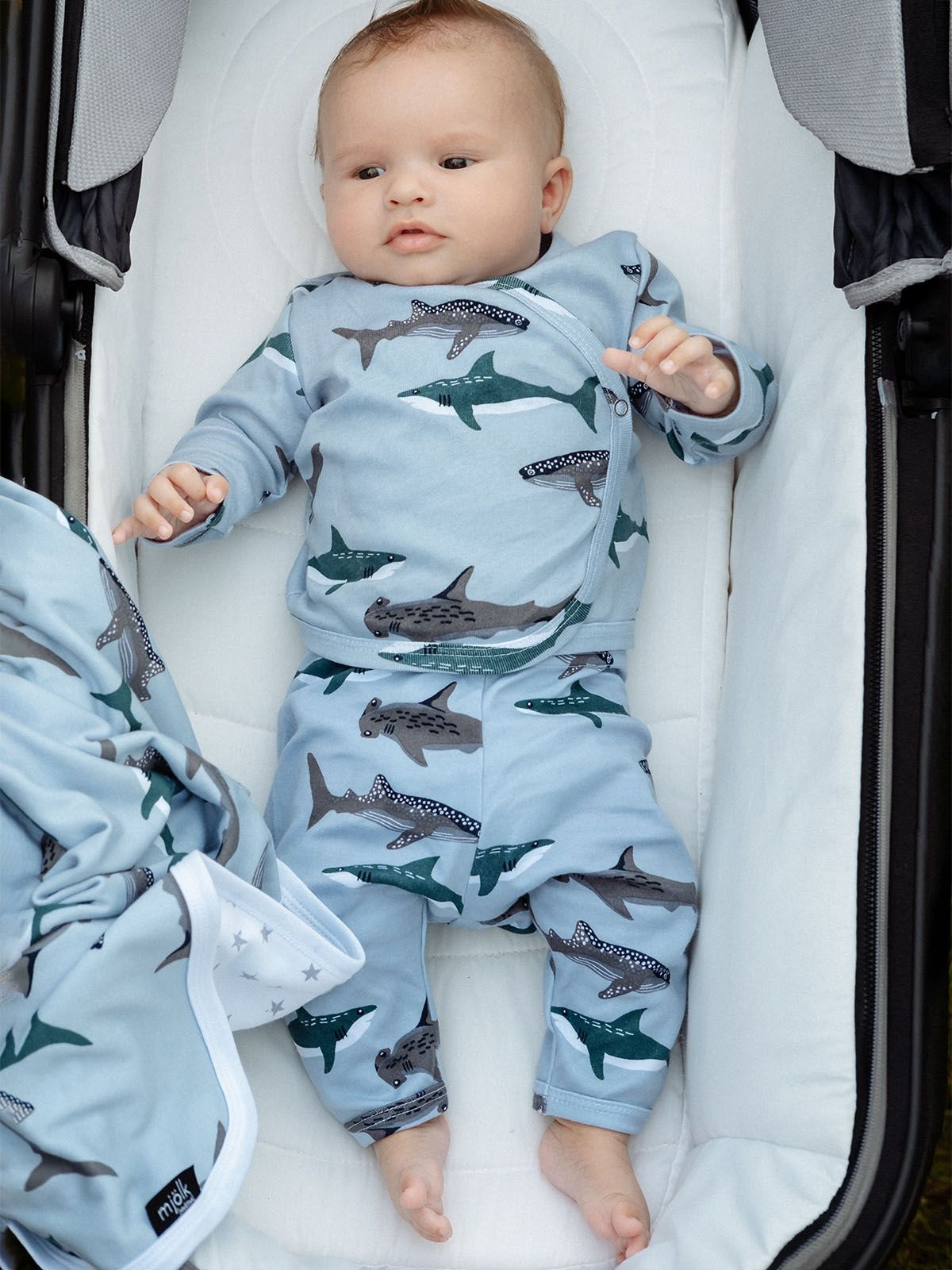 Штанишки Mjolk