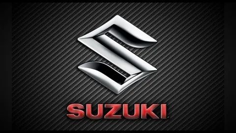 Suzuki 5931085Z10 Панель кузовная