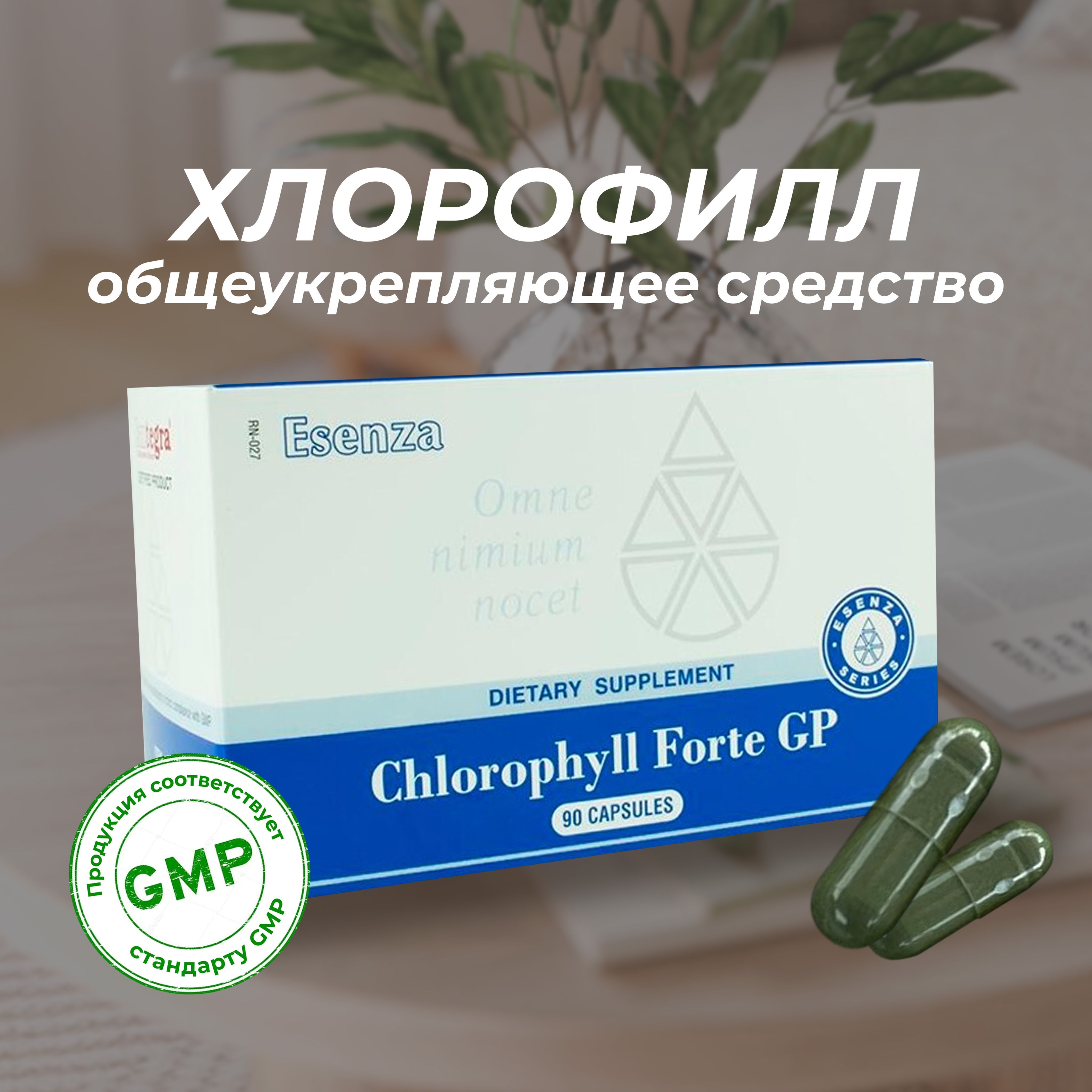 Хлорофилл Форте — купить в интернет-аптеке OZON по выгодной цене