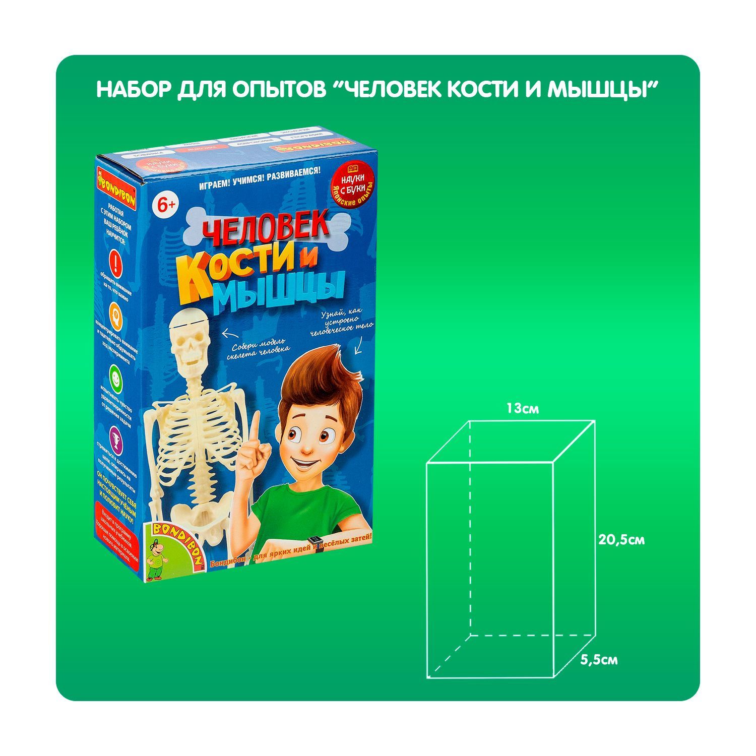 Набор для опытов Bondibon Японские опыты Науки с Буки Человек Кости и  мышцы, ВВ4728 - купить с доставкой по выгодным ценам в интернет-магазине  OZON (222538541)