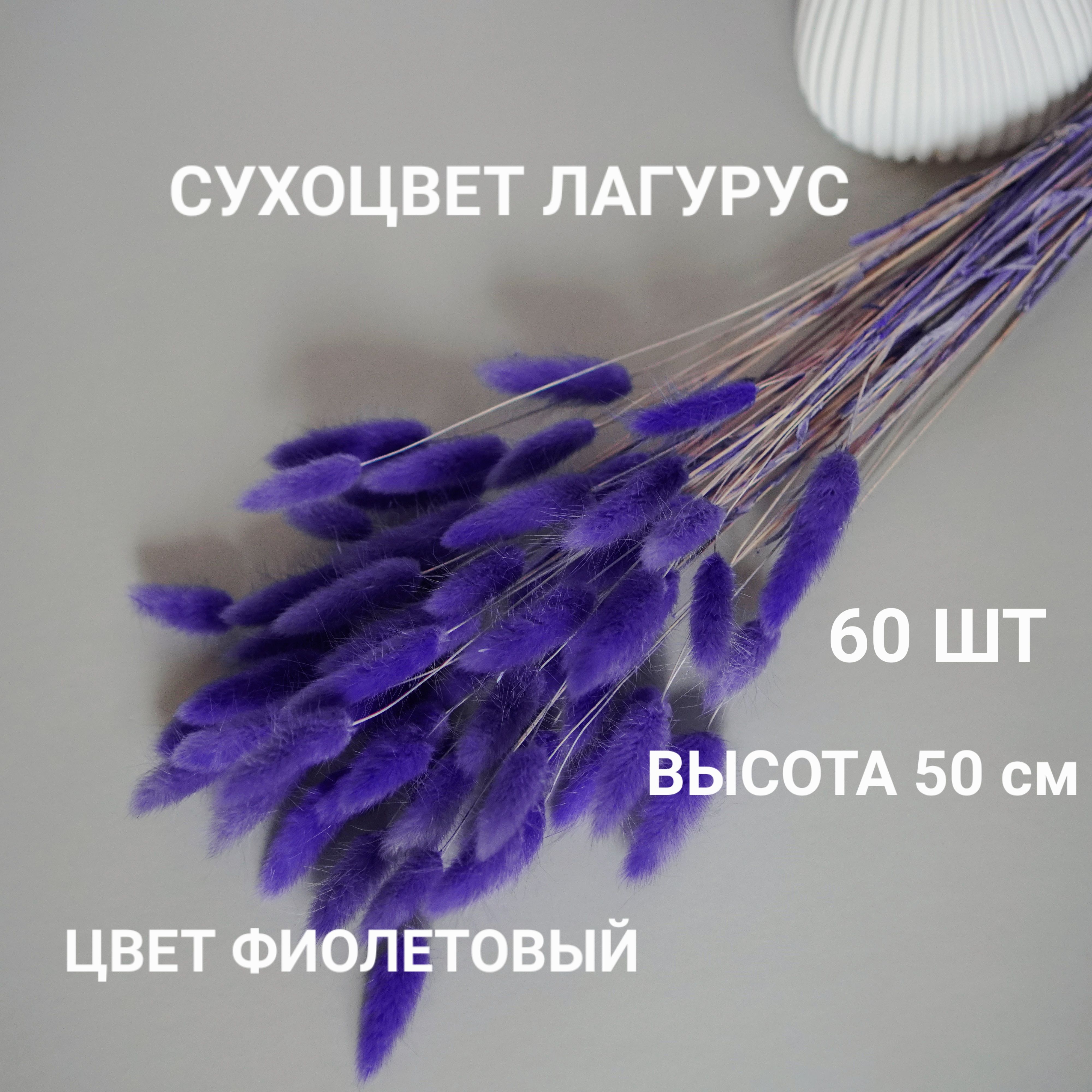 Букет из сухоцветов Лагурус, 60 см, 100 гр, 60 шт купить по выгодной цене в  интернет-магазине OZON (988071113)