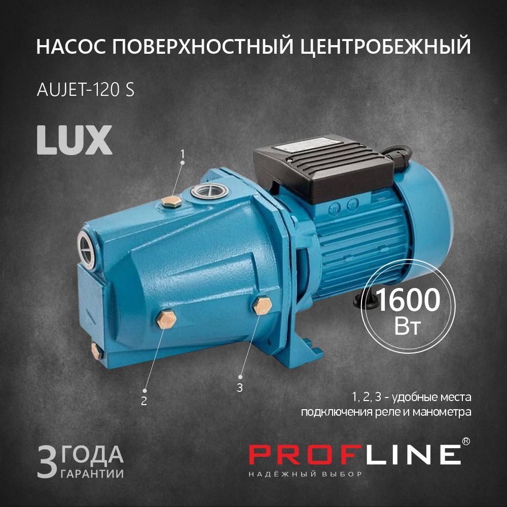 Садовый насос PROFLINE 41935 - купить по выгодной цене в интернет-магазине  OZON (1077450946)