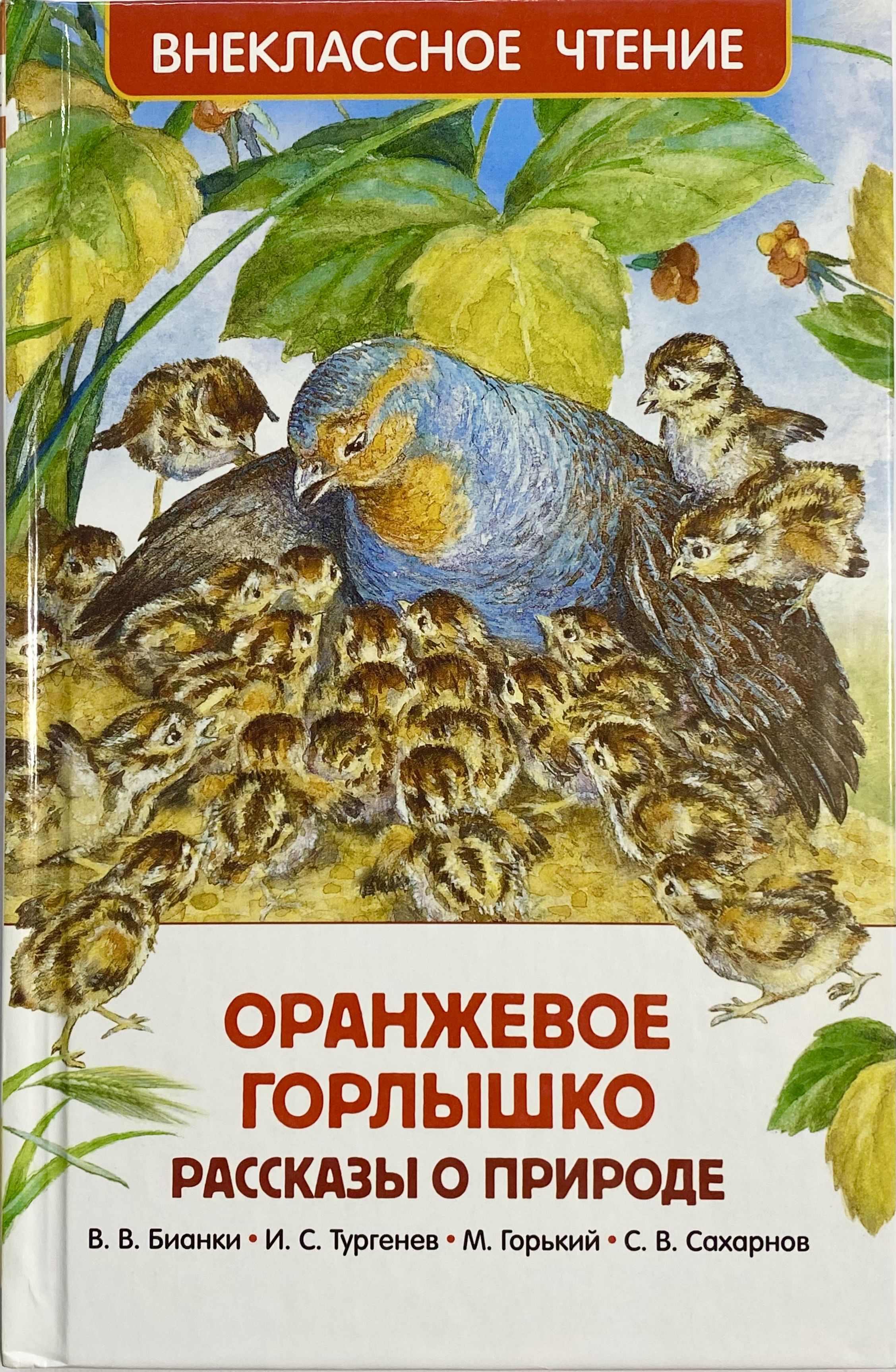 Бианки о природе. Внеклассное чтение Виталий Бианки оранжевое горлышко. Внеклассное чтение. Оранжевое горлышко. Бианки оранжевое горлышко книга Внеклассное чтение. Книг Виталий Бианки. Оранжевое горлышко.