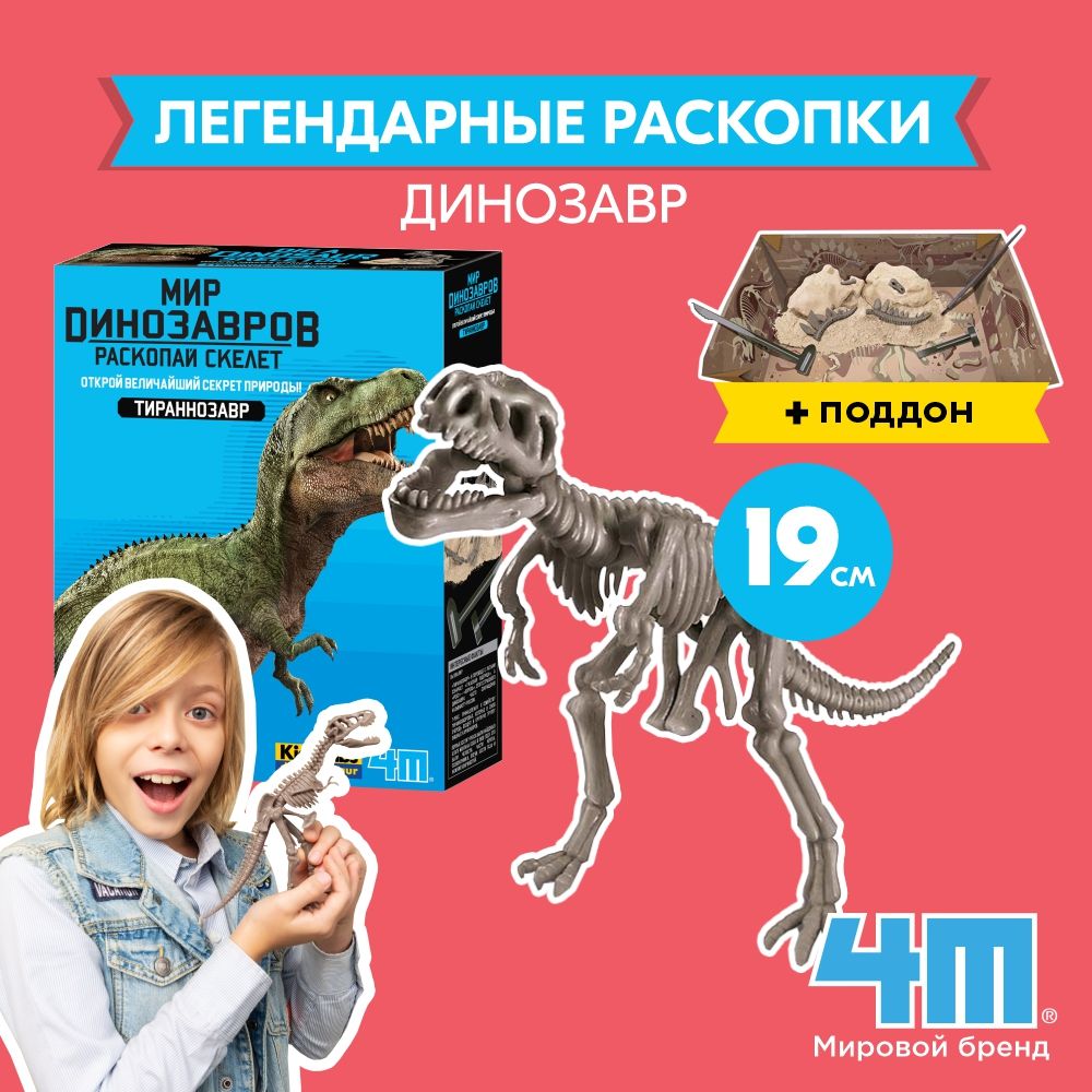 Набор 4M 00-03221 Раскопай скелет. Тираннозавр / Набор юного археолога,  палеонтолог, раскопки динозавра. - купить с доставкой по выгодным ценам в  интернет-магазине OZON (365372243)