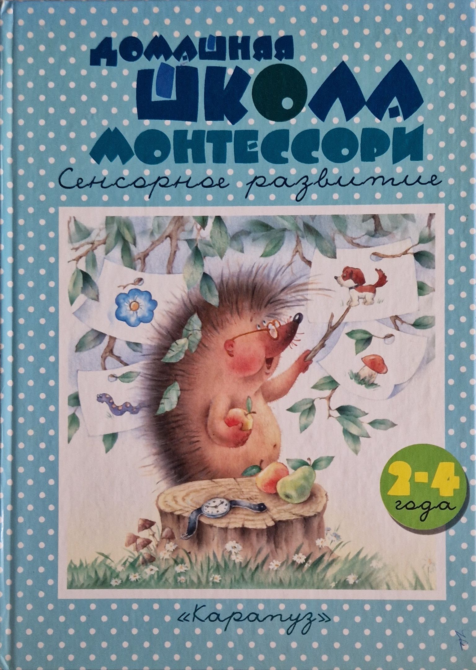 Сенсорное развитие 2-4 года. Домашняя школа Монтессори | Сумнительный  Константин Евгеньевич