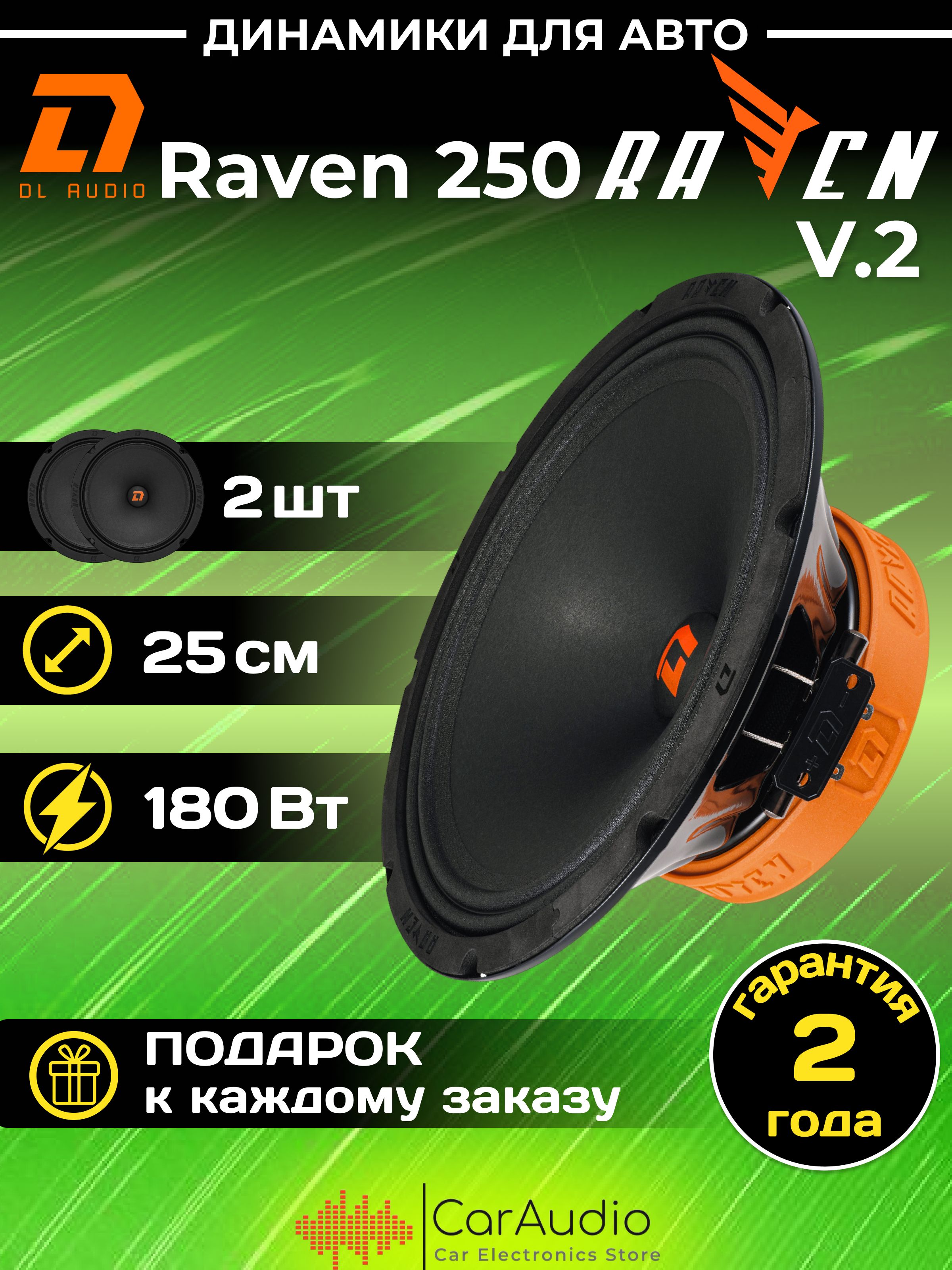 Колонки для автомобиля DL Audio Raven 250 V.2 / эстрадная акустика 25 см.  (10 дюймов) / комплект 2 шт.