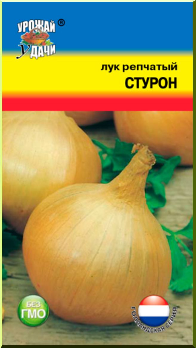 Лук Стурон Описание Сорта Фото Отзывы Цена
