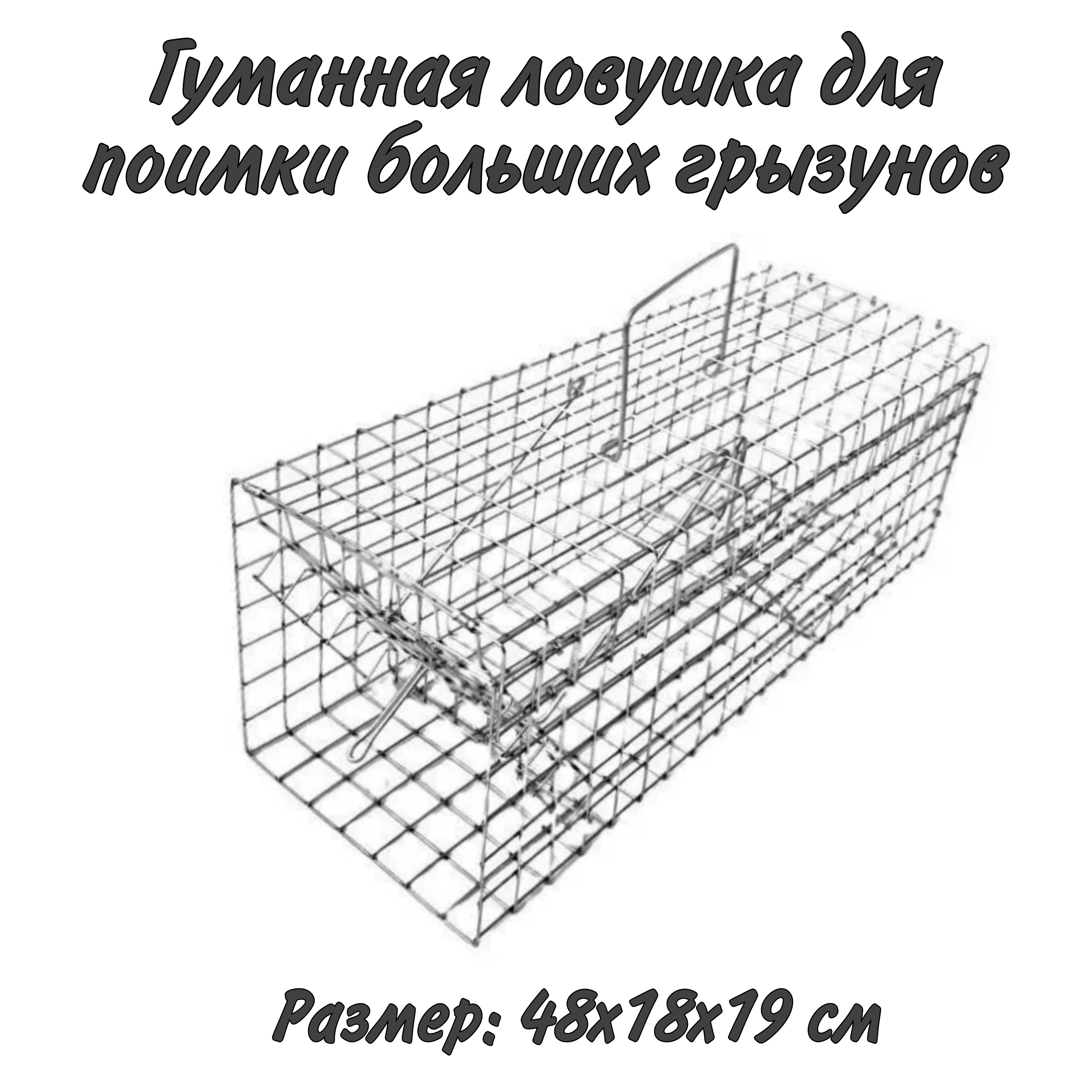 Ловушка для ловли бобров ,хорьков,куниц. - Изделия и проекты - Форум сварщиков Вебсварка