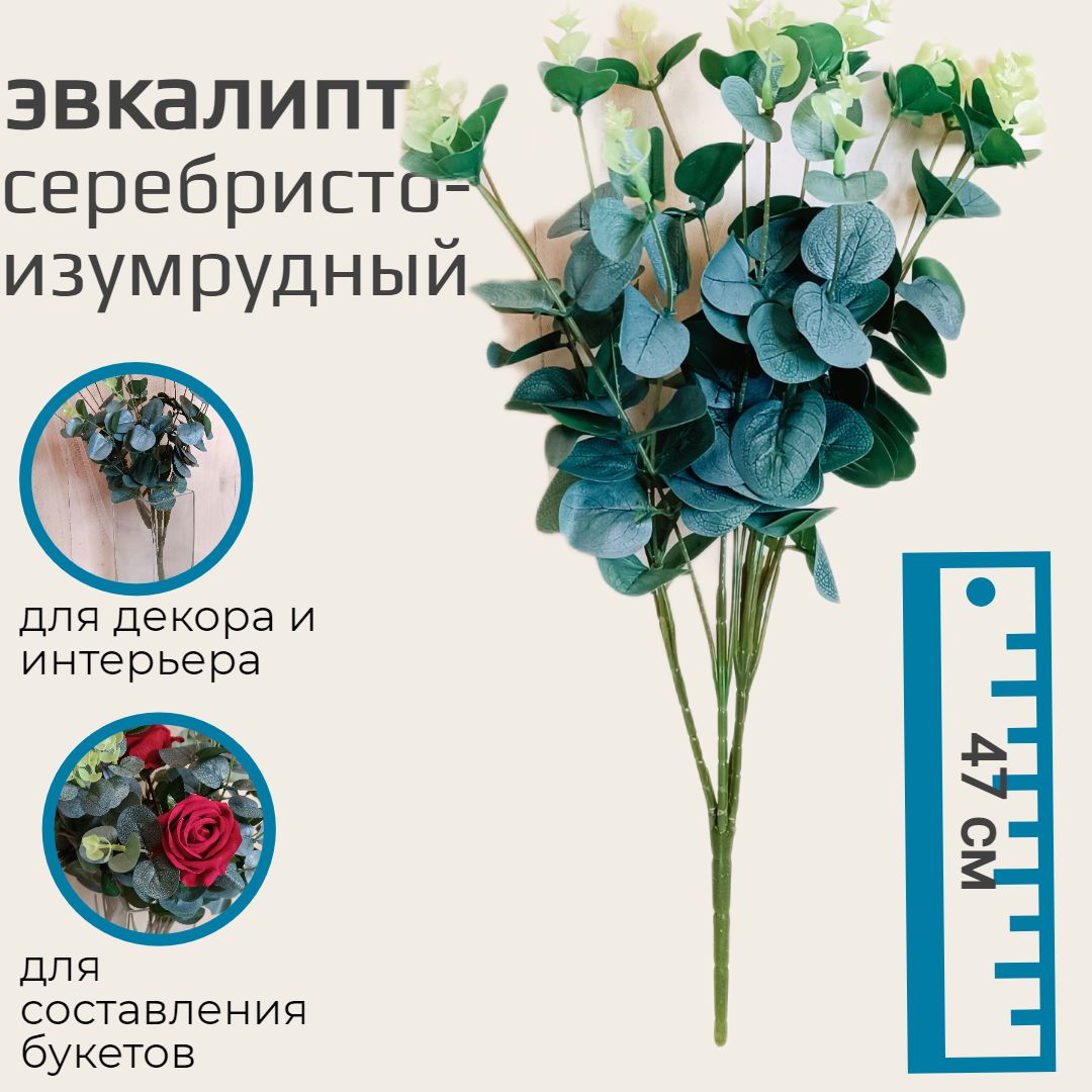 Купить Ветка эвкалипта искусственная. 60см. Серебристо-изумрудный. по  выгодной цене в интернет-магазине OZON.ru (313625312)