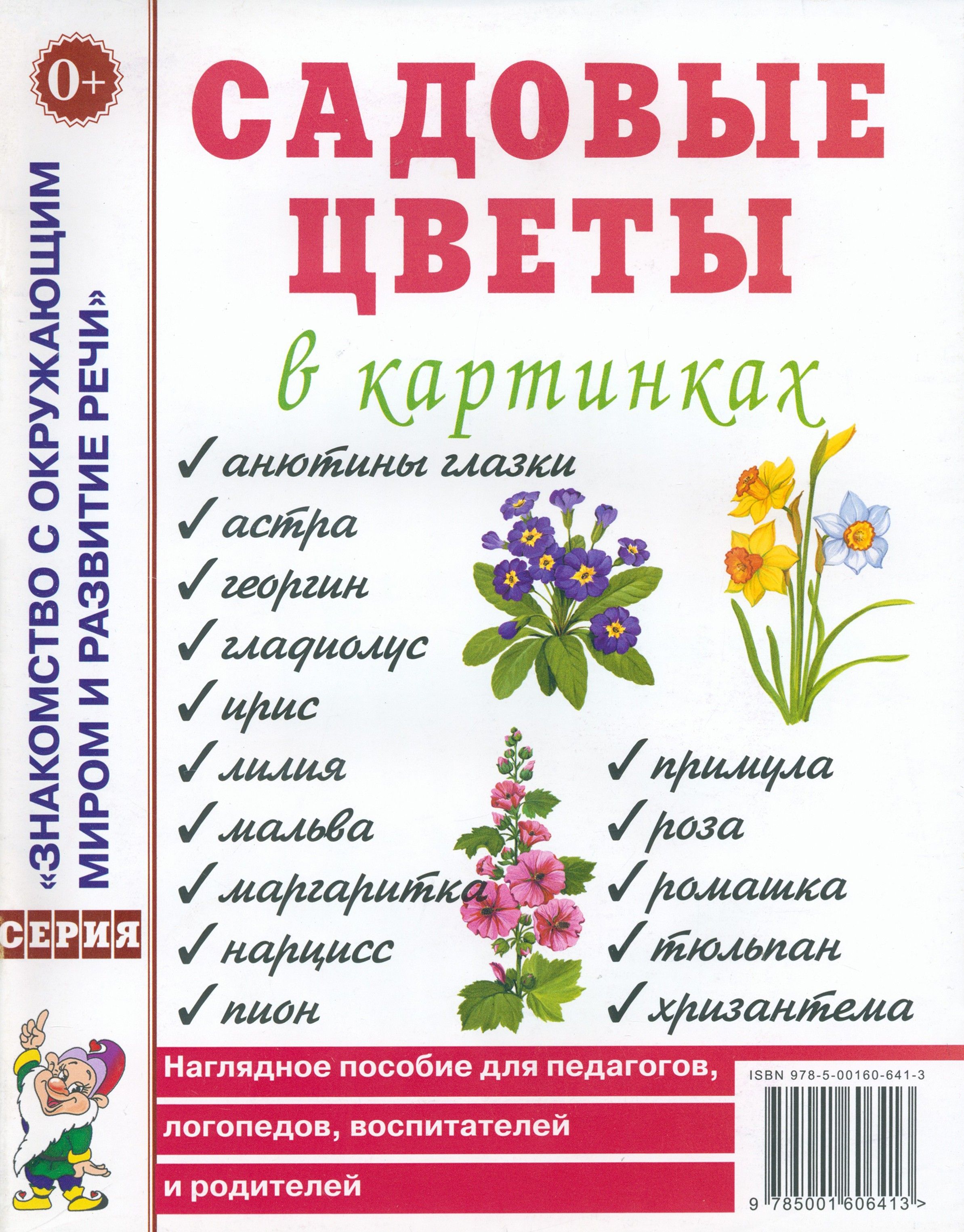 Наглядный материал в саду