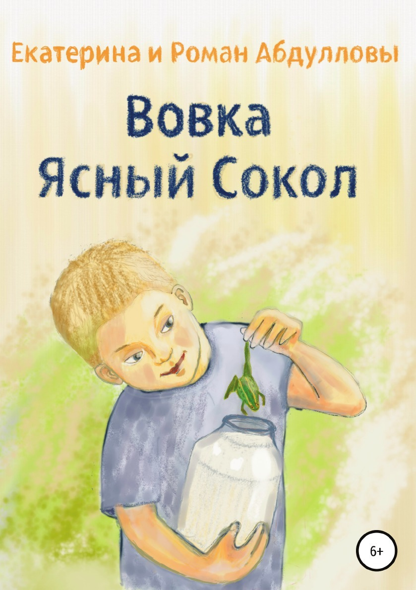 Девочка сокола читать