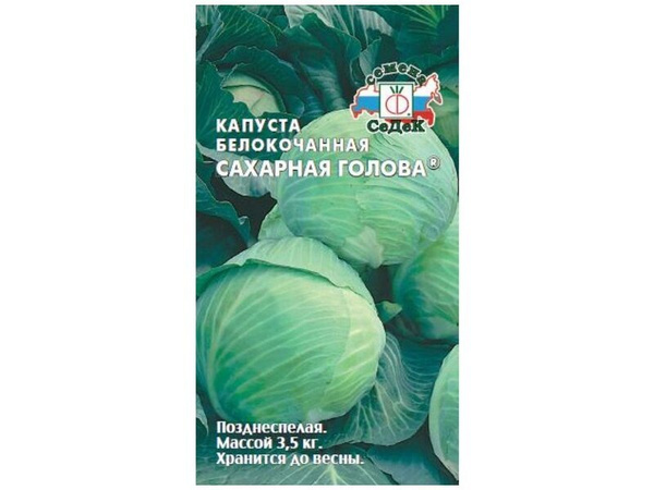 Капуста сахарная голова описание сорта фото Седек BIN.3706GO710 - купить по выгодным ценам в интернет-магазине OZON (2746939