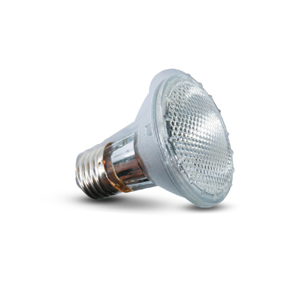 Лампа для террариума галогеновая Repti-Zoo, 50Вт - купить с доставкой ...