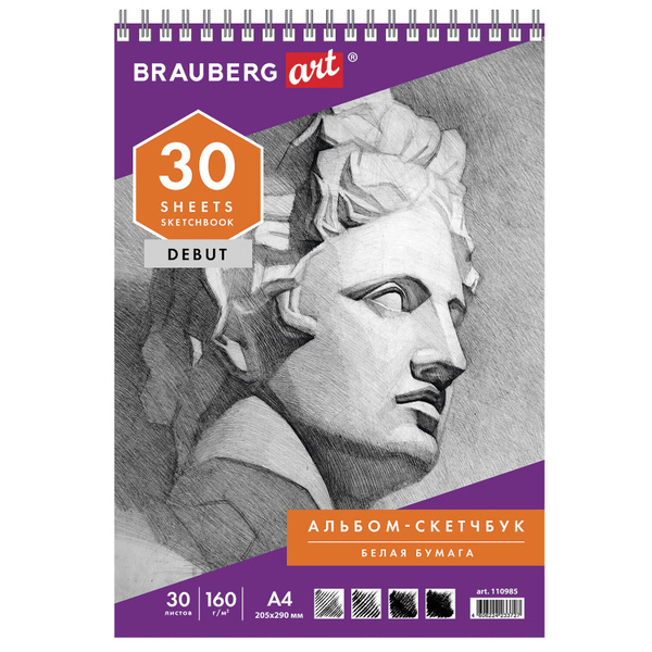 Скетчбук, 30 л., гребень, жёсткая подложка, BRAUBERG ART DEBUT - купить ...