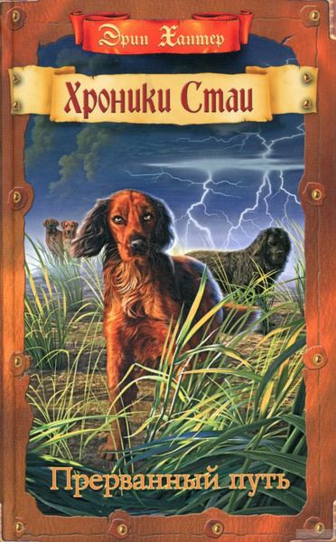 Книга Абрис Олма Хроники стаи, Хантер Эрин, "Прерванный путь" - купить ...