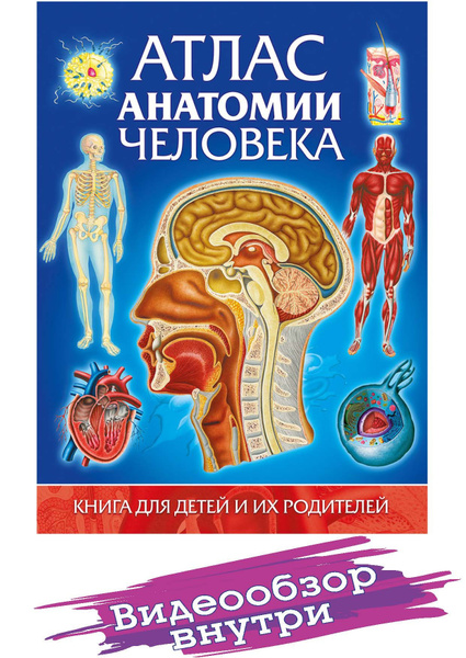 Атлас анатомии человека. Книга для детей и их родителей. Детские книги ...