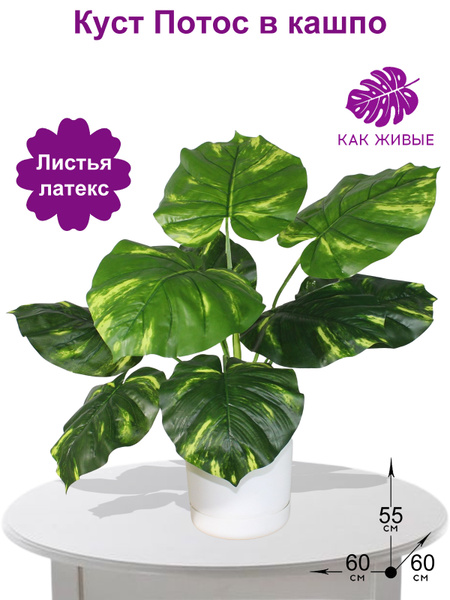 Купить Искусственное растение Куст Потос 55см в кашпо, ФитоПарк по ...