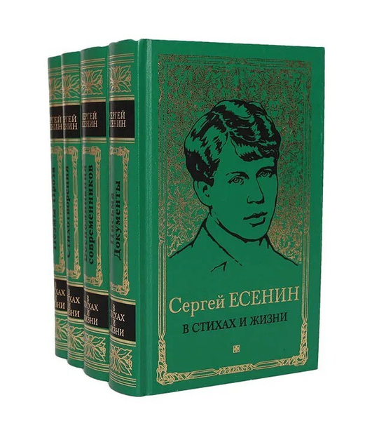 Книги учебники словари томики стихов заполняли собой весь стеллаж