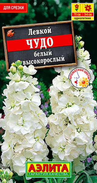 Левкои Агрофирма Аэлита 01 - купить по выгодным ценам в интернет ...