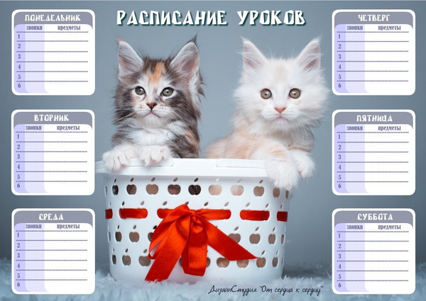 Расписание уроков - шаблоны и картинки