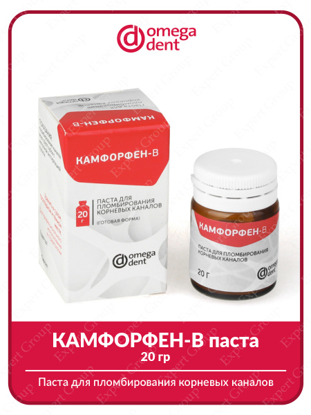 Паста для пломбирования корневых каналов КАМФОРФЕН-В паста 20 гр ...