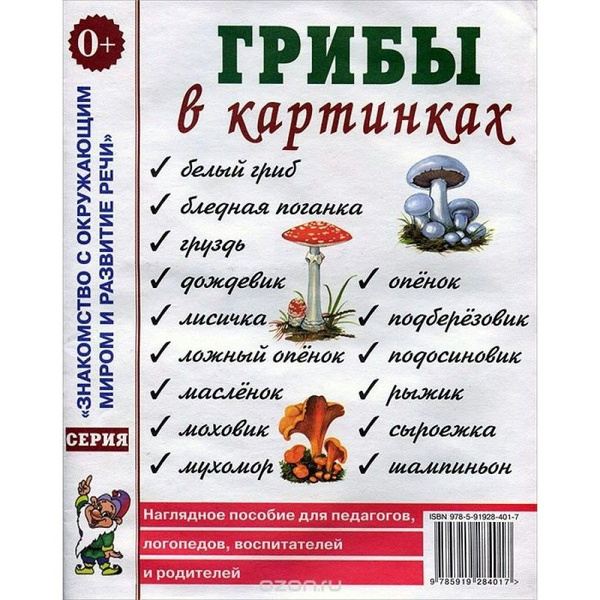 Наглядные пособия для воспитателей