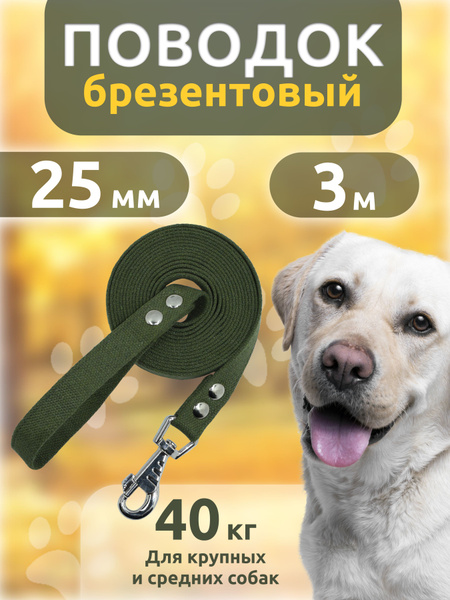 Поводок для собак брезентовый, для средних и крупных пород 25мм*3м (до ...