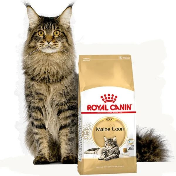 Корм Royal Canin MAINE COON Специальное питание для кошек породы ...