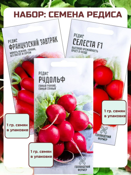 Редис Голландский фермер Редис Рудольф, редис Французский Завтрак ...