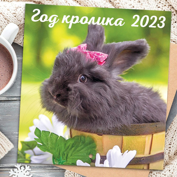 Календарь 2023 настенный перекидной "Символ года. Кролик". Полипринт ...