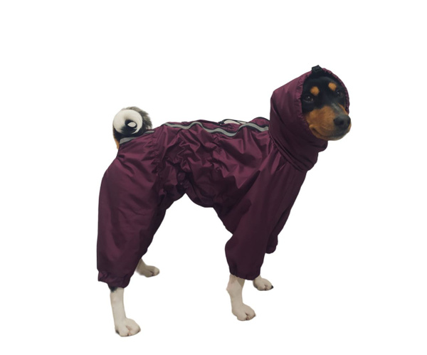 Комбинезон на флисе для собак породы Басенджи /Девочка/ - купить с ...