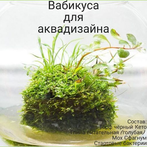 Вабикуса (Ваби-куса) для аквадизайна. Грунт для растений! - купить с ...