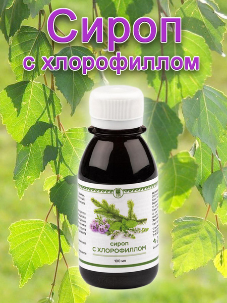 Сироп с хлорофиллом Фитолон противовоспалительное, ветрогонное средство ...