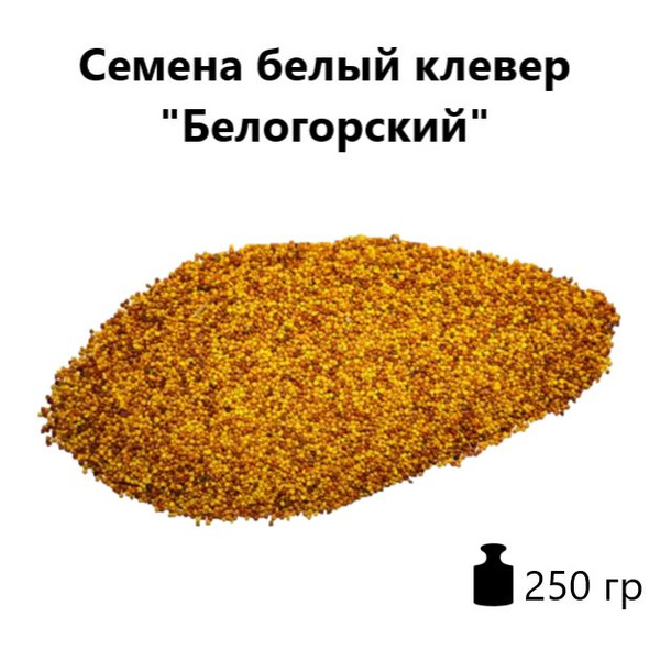 Газонные травы клевер белогорский - купить по выгодным ценам в интернет ...